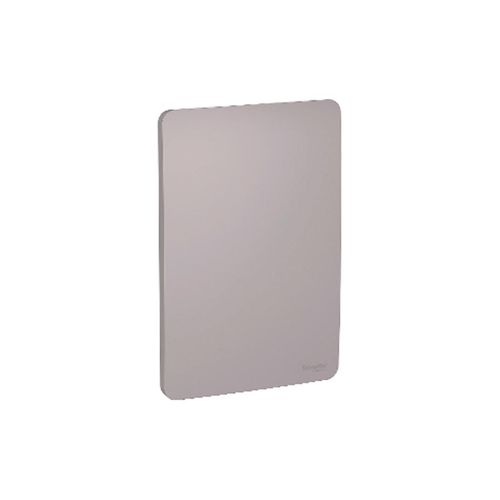 Placa 4x2 Cega Schneider Orion Axis Grey
