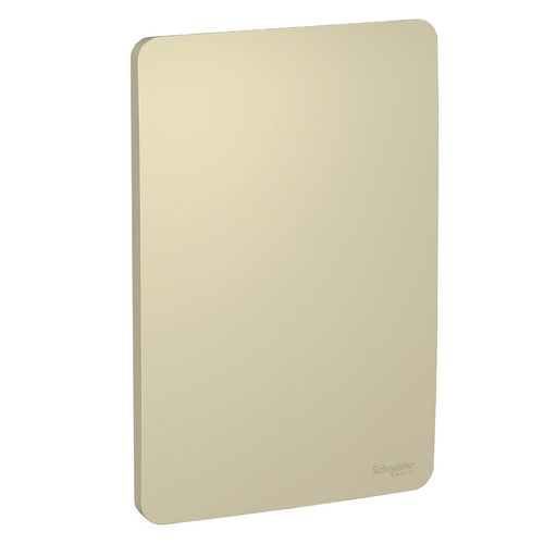 Placa 4x2 Cega Orion Horizon Gold S730100234 Schneider