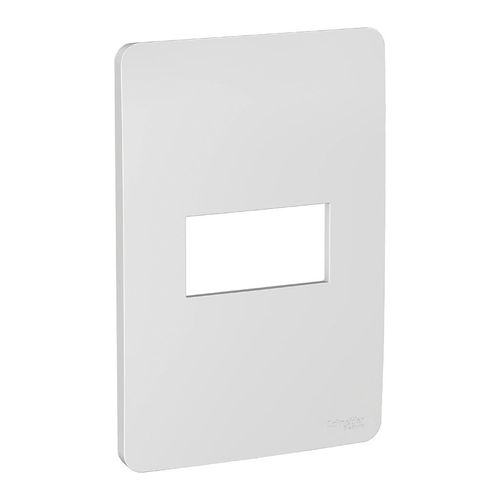 Placa 4x2 Orion 1 Posto Gamma Silver S730101274 Schneider