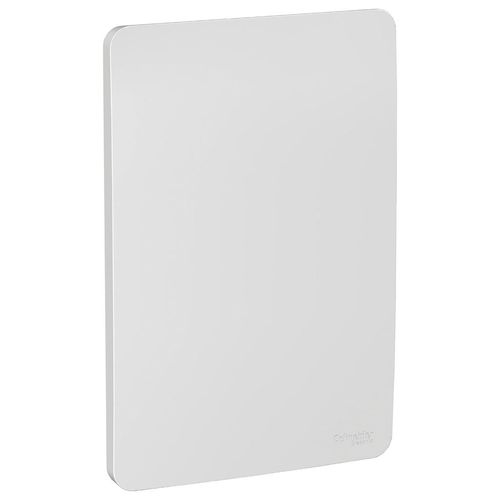 Placa 4x2 Cega Orion Gamma Silver S730100274 Schneider