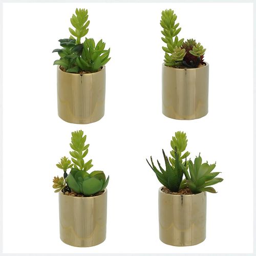 Arranjo Suculenta Flor Arte Verde com Vaso 13cm