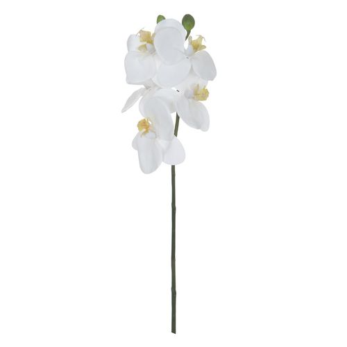 Arranjo Orquídea Phalaenopsis Mini Real Toque Flor Arte com Coat