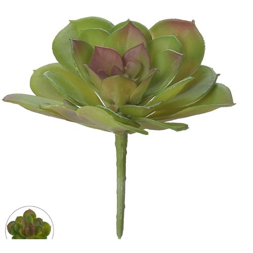 Arranjo Suculenta Flor Arte Verde e Vermelho