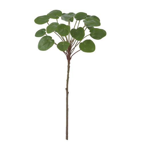 Planta Folha Polyscias Toque Real Flor Arte Verde 50cm