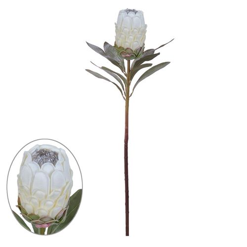Folhagem Protea Flor Arte com Coat Creme 74cm