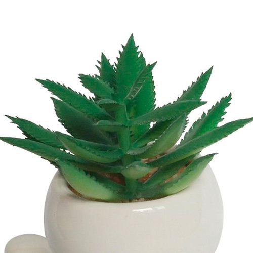 Suculenta Artificial Ndi Doll 6,5x9,5x11cm