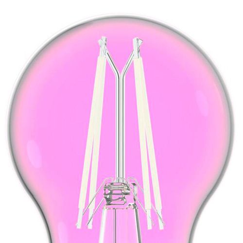 Lâmpada Bulbo Led Filamento Taschibra Color G45 Autovolt 4W Rosa
