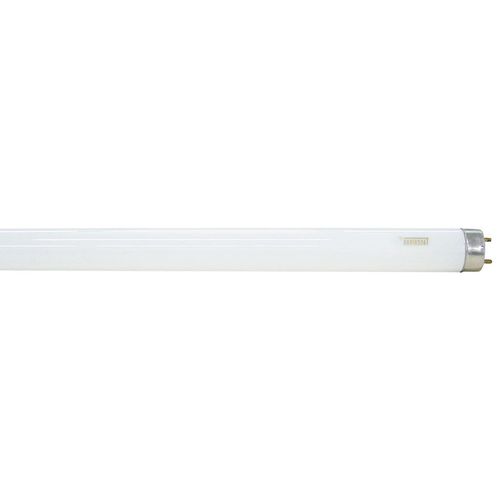 Lâmpada Fluorescente Taschibra Naturale Branca 36W T8
