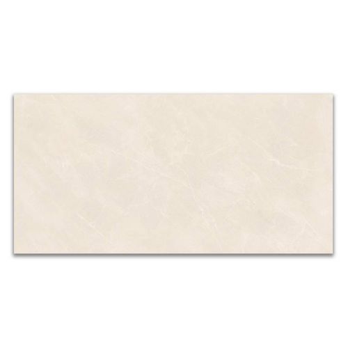 Porcelanato Natural Portinari Opera Sbe "A" 58,4x117cm Retificado