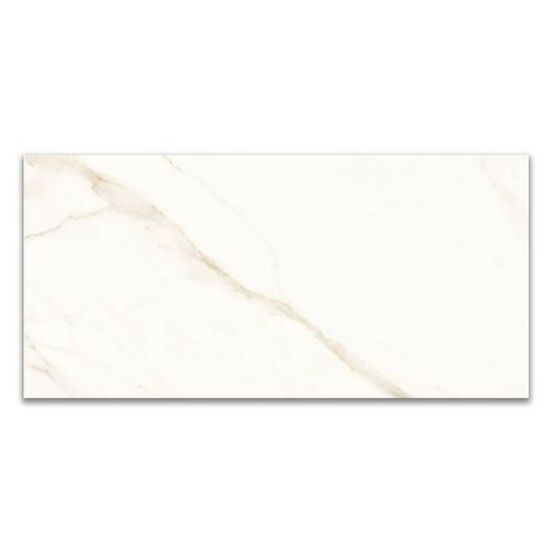 Porcelanato Polido Portinari Opera WH "A" 58,4X117 Retificado