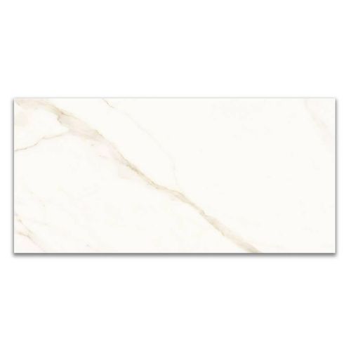 Porcelanato Natural Portinari Opera WH "A" 58,4x117cm Retificado