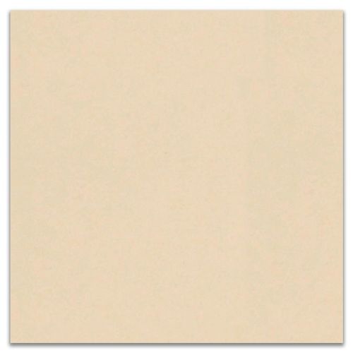 Porcelanato Natural Portinari Tecnico Neutral "A" 90x90cm Retificado