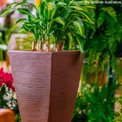 Vaso Trapezio Nutriplan Grafiato Areia N°50