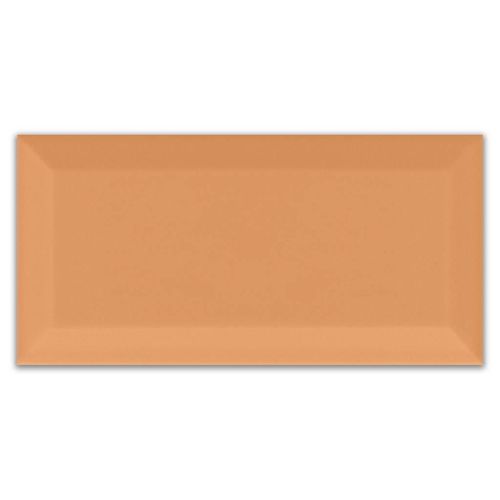 Revestimento Brilhante Eliane Metro Cotto "A" 10x20cm