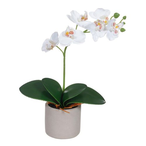 Haste Orquídea Flor Arte Real Toque com Vaso de Cimento Branca Amarelo 35cm