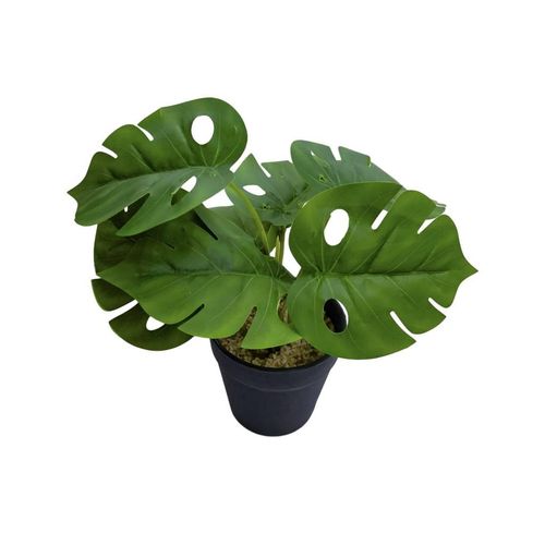 Planta Artificial NDI Verde e Preto 23cm