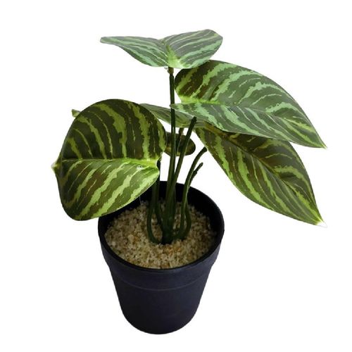 Planta Artificial NDI Verde e Preto 23cm