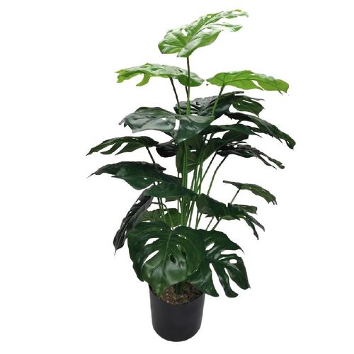Planta Artificial NDI Verde e Preto 75cm