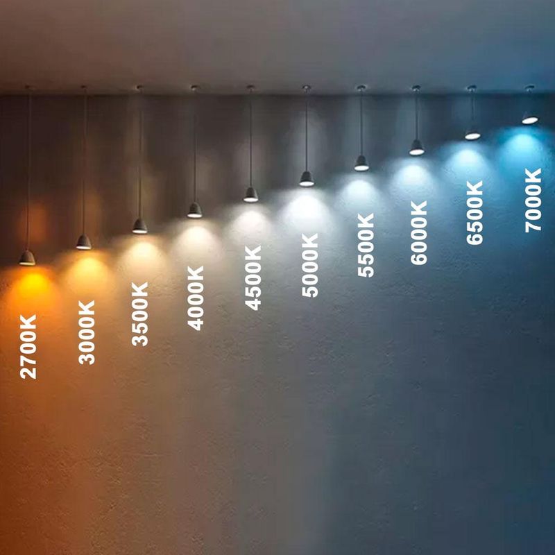 66227_20