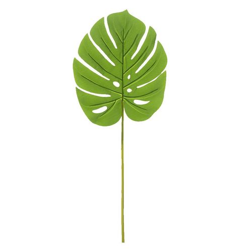 Complemento Costela de Adão Flor Arte Real Toque Verde 84cm