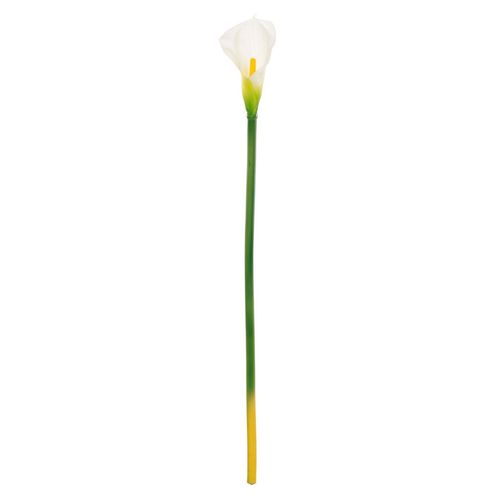 Haste Copo Leite Flor Arte Branco Amarelo 65cm