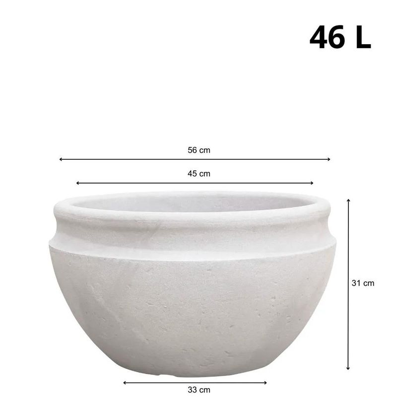 155579_1