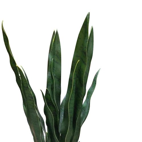 Planta Artificial NDI Com Vaso Verde 60cm