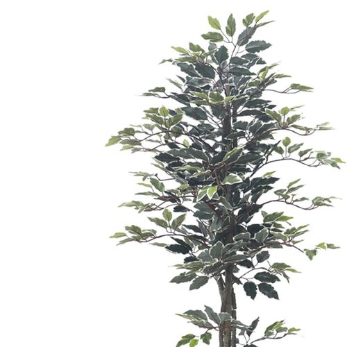 Planta Artificial NDI Com Vaso Verde 160cm