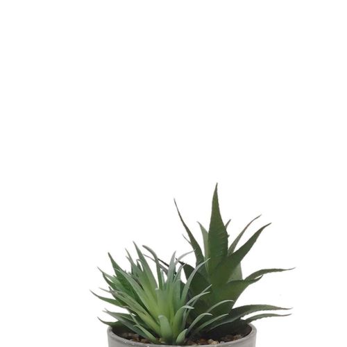 Planta Artificial NDI Com Vaso Verde 17cm