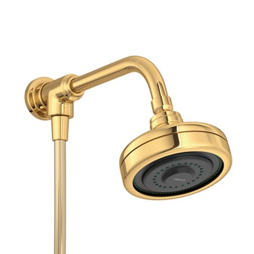 Kit Chuveiro Deca Acqua Plus Cabo Flexível PVC Gold