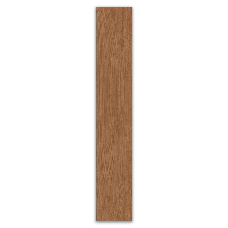 156494