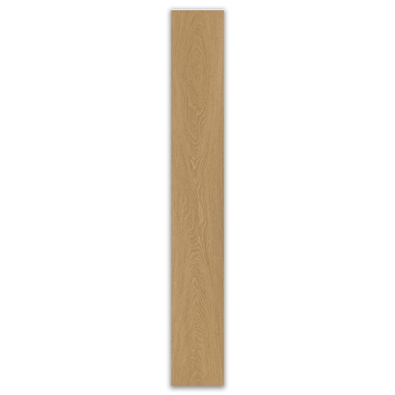 157276_2