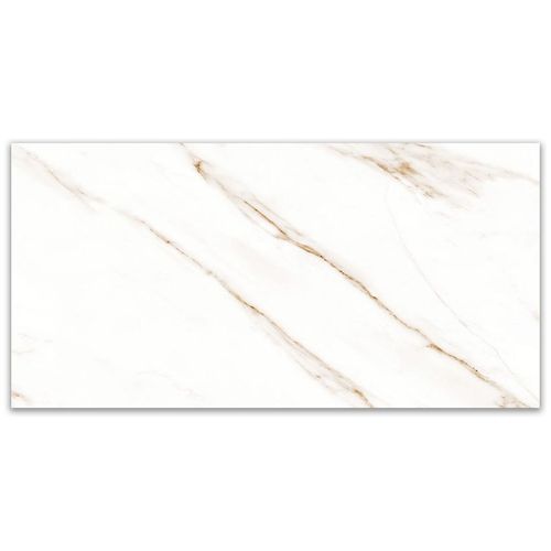 Porcelanato Delta Raggi Oro-r60 Polido "A" 60x120 Retificado