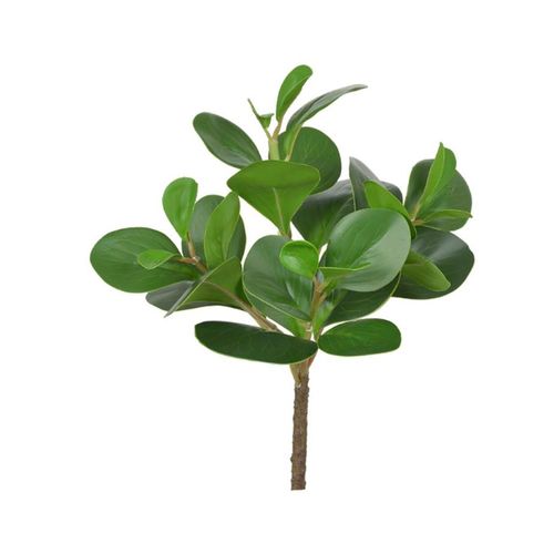 Arranjo Clusia com Coat Real Toque Flor Arte Verde 33cm