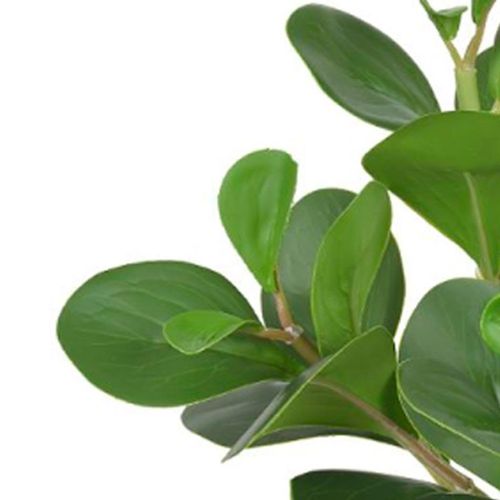 Arranjo Clusia com Coat Real Toque Flor Arte Verde 33cm
